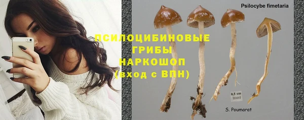 гашиш Богданович