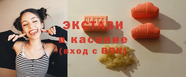 мдпв Богородск