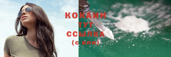 мдпв Богородск