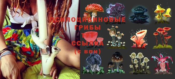 скорость Богородицк