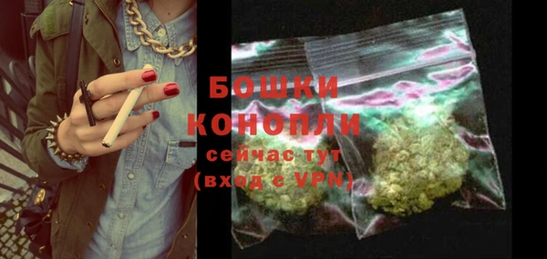 гашиш Богданович